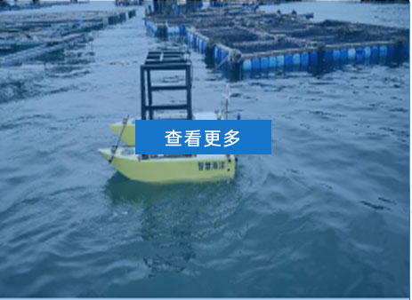 查看更多