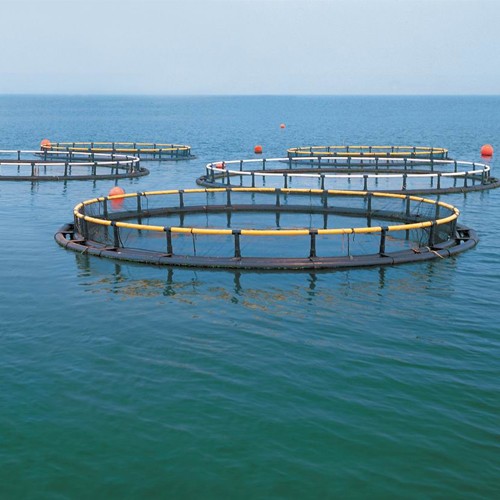 海水养殖监测系统